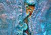 Fossil ammonites