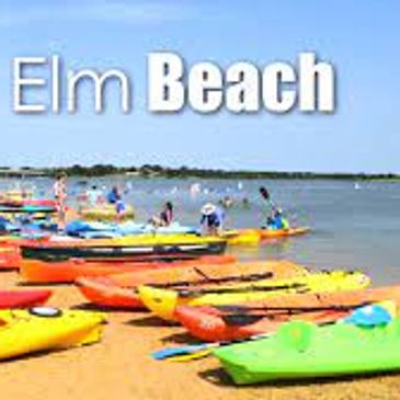 Realtor in Little Elm, TX