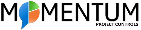 Momentum project controls