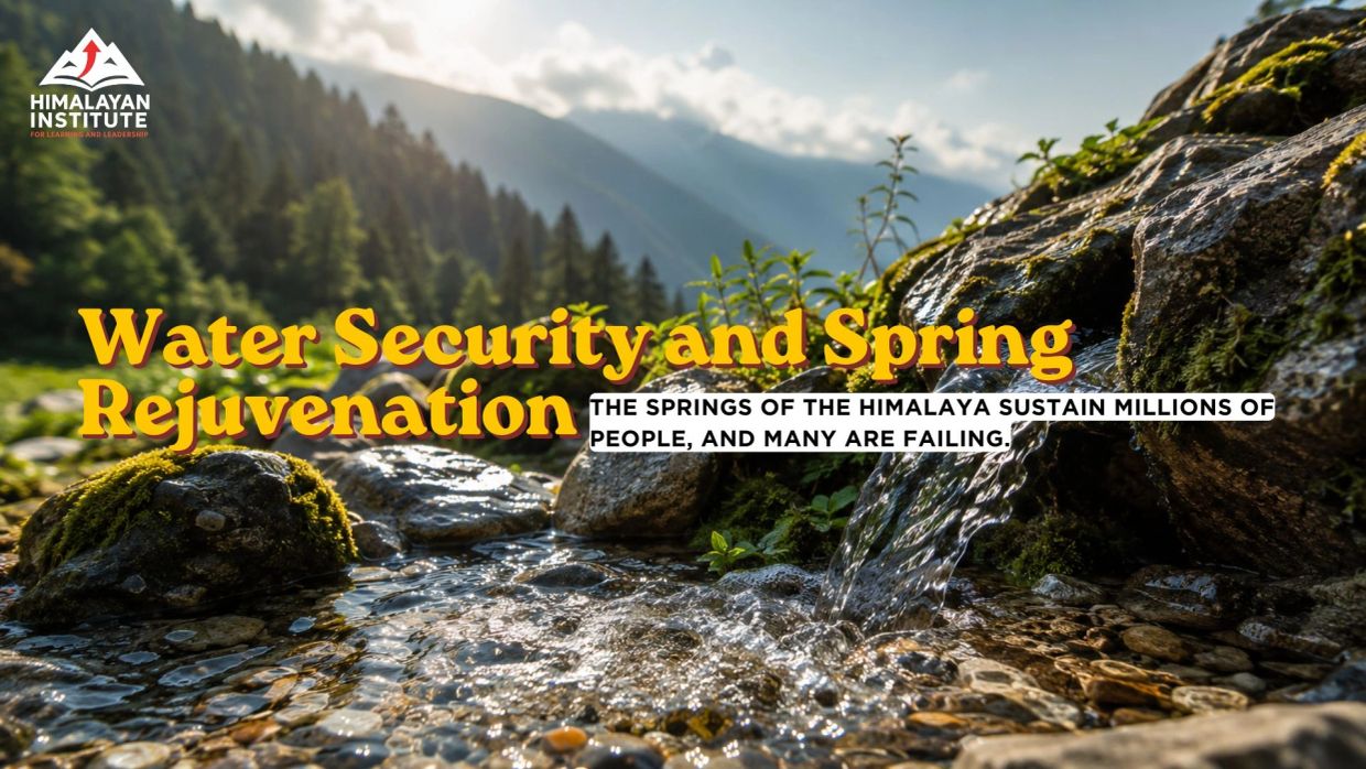 Mountain spring water flows over mossy rocks in the Himalayas.