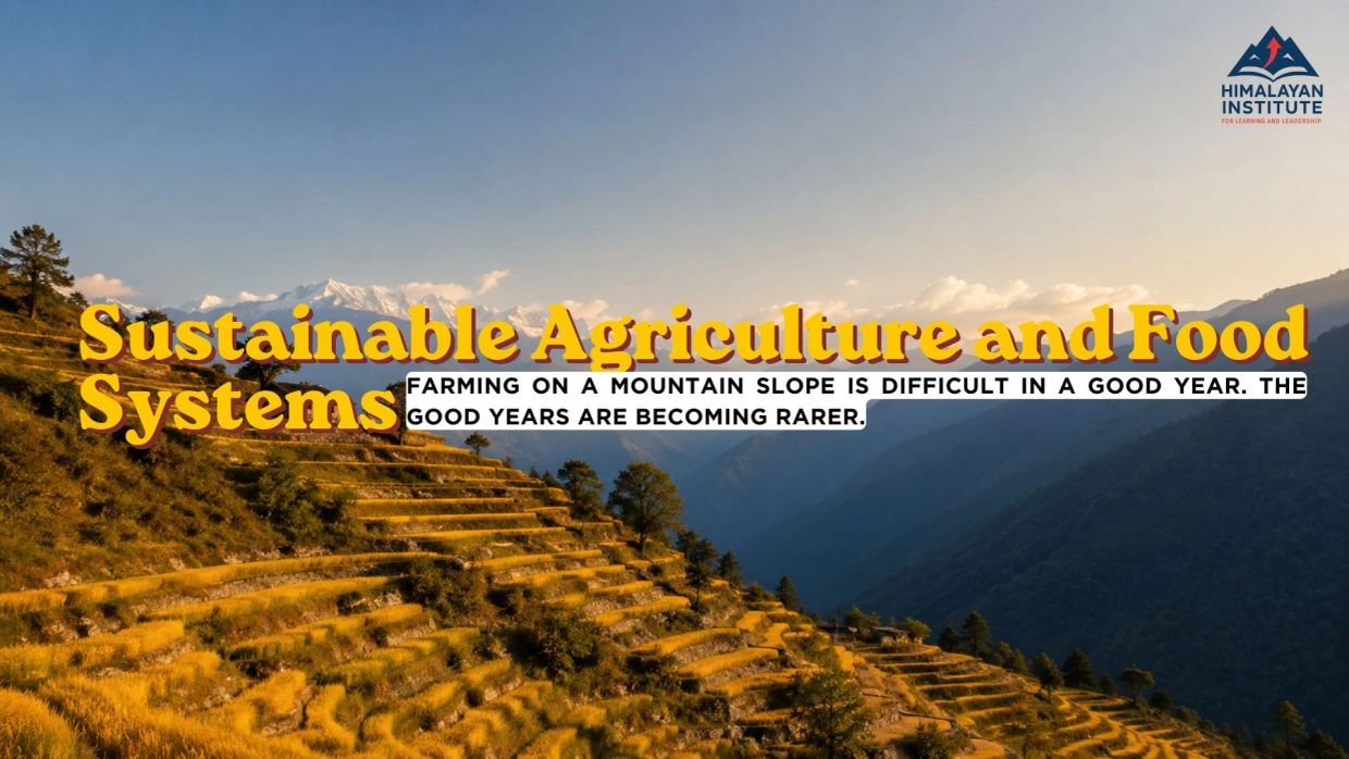 Mountain slope farming and sustainable agriculture challenges.