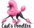 cadspoodles.com