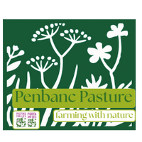 Penbanc Pasture