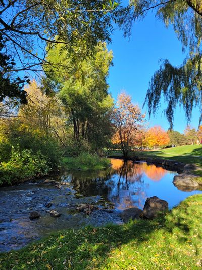 A serene autumn landscape with a creek and colorful trees.