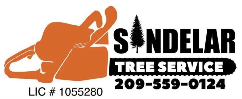 Logo of Sondelar Tree Service with chainsaw and contact number.