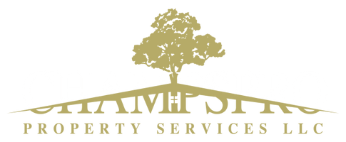 CHAMPSPRO Snow Removal