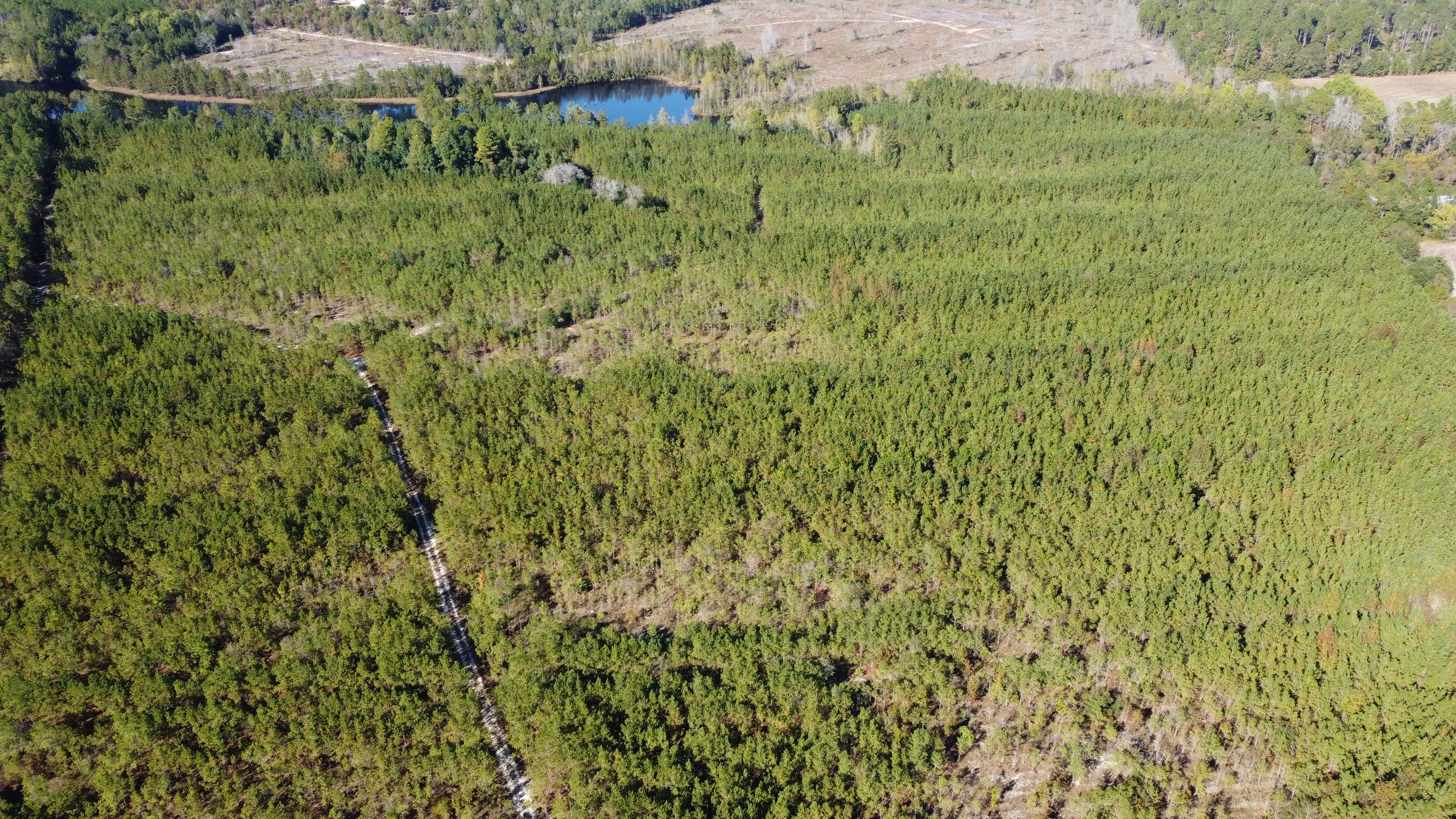 Land for sale near me, hunting land for sale, farm for sale, homesite for sale, land for sale, land.