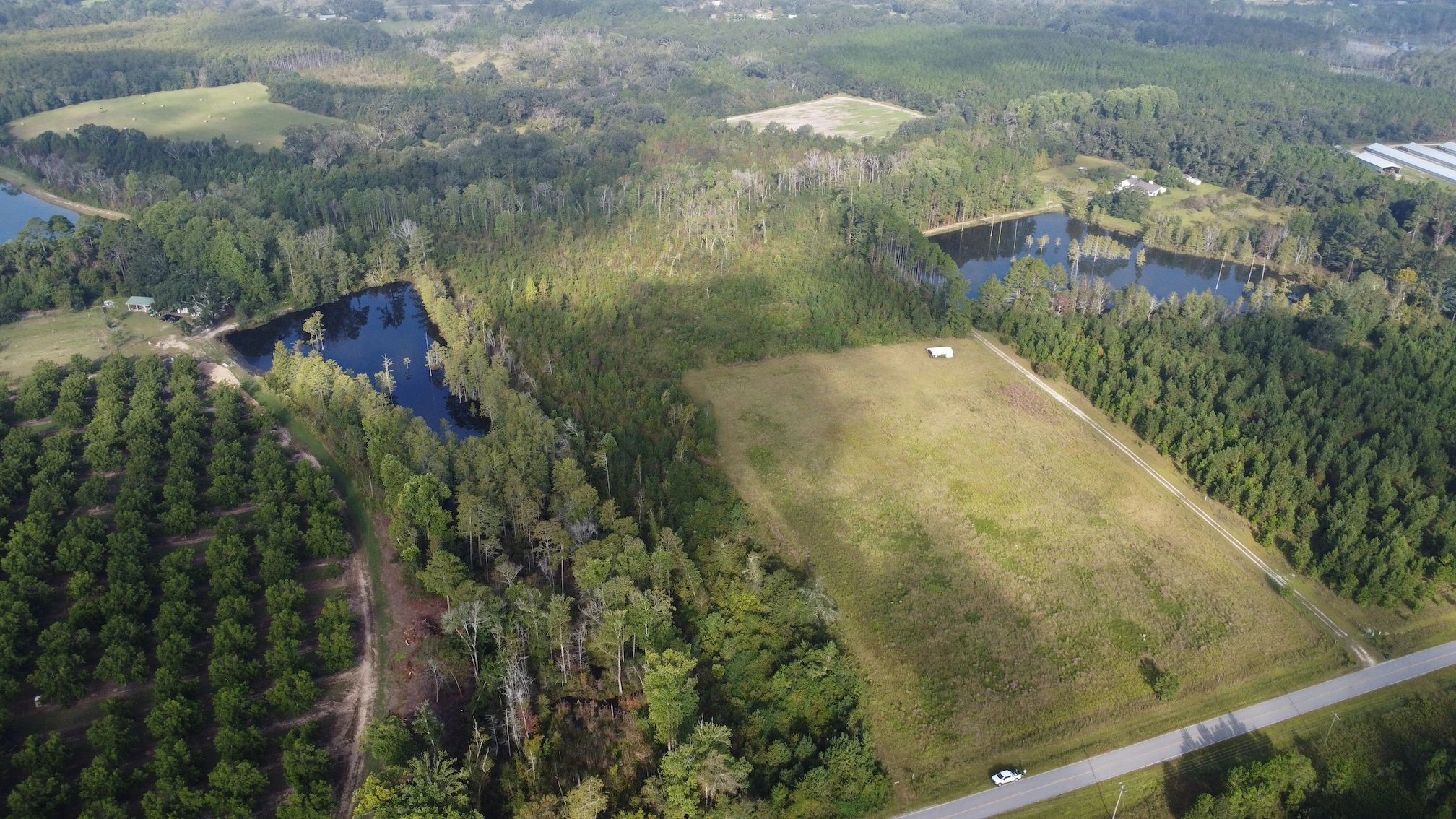 Land for sale Glennville, land for sale near me, hunting land for sale, farm land for sale, 