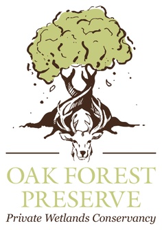 Oakforestpreserve