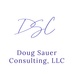 Doug@dougsauerconsulting.com