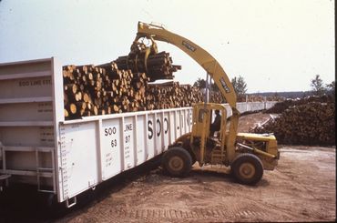 Machine loading logs onto a train car.