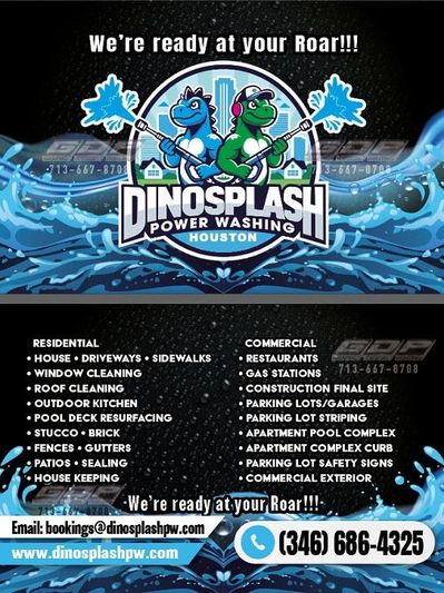 Flyer about Dinosplash services