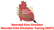 Neonatal Echo Simulator 
Neonatal Echo Simulation Training (NEST)