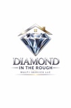Diamond in the Rough multi-service LLC