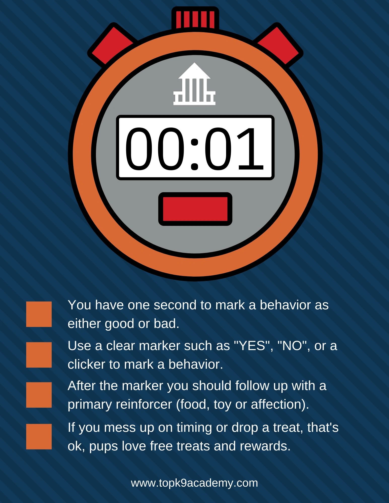 How To Use Marker Training