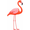Flamingo Rides