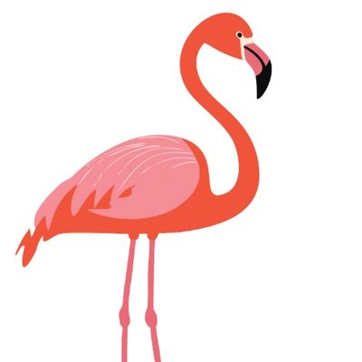 Flamingo Rides Your Premier Ride Anytime, Anywhere. Airport, Amtrak, Employment, Dr Appt, Fine Dine.
