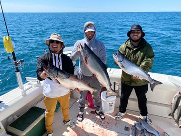 Three King Salmon Caught During Lake Michigan Charter Fishing Trip