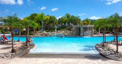 Communal Pool at Paradise Palms 