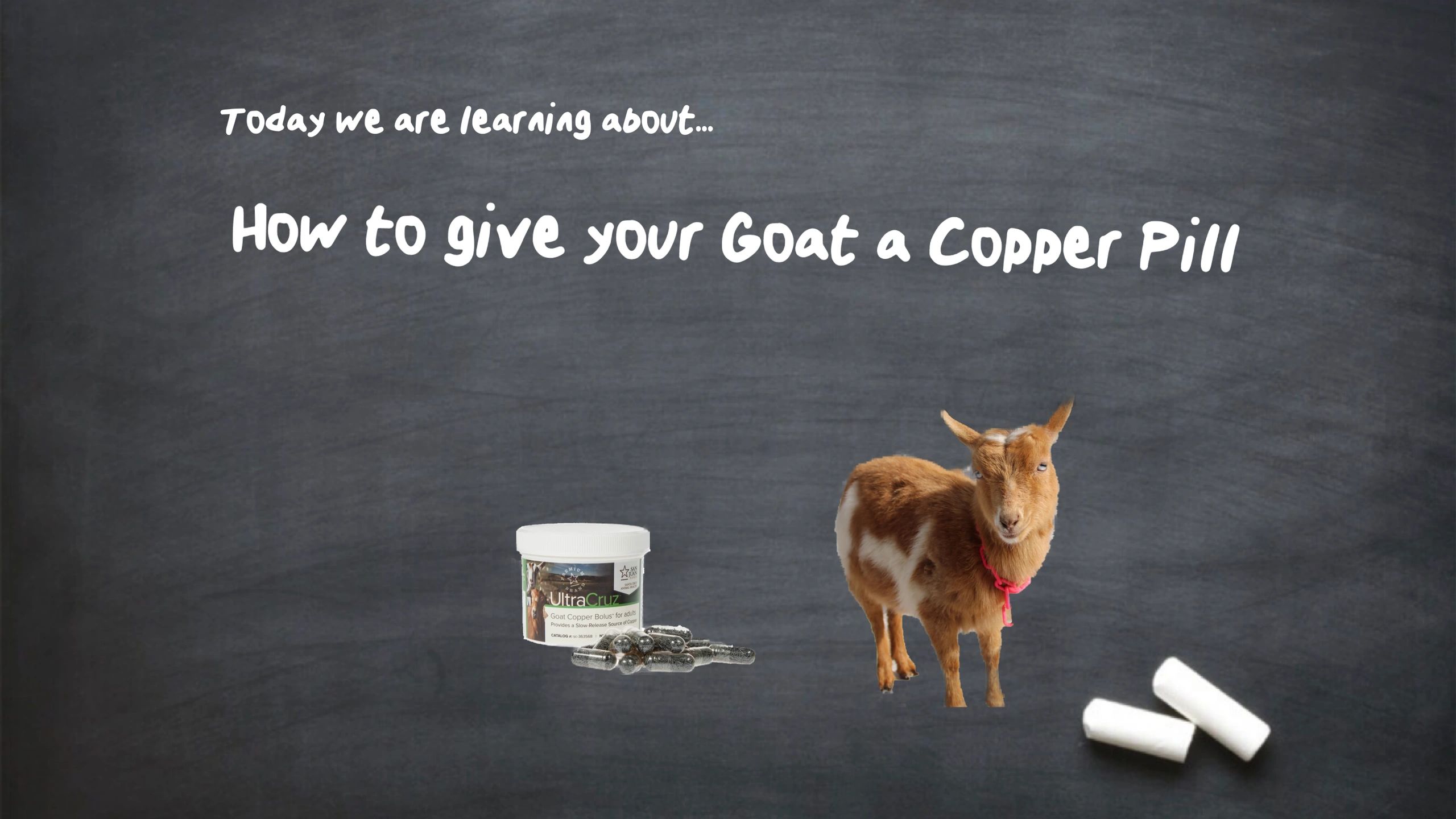 Giving Your Goat a Copper Pill