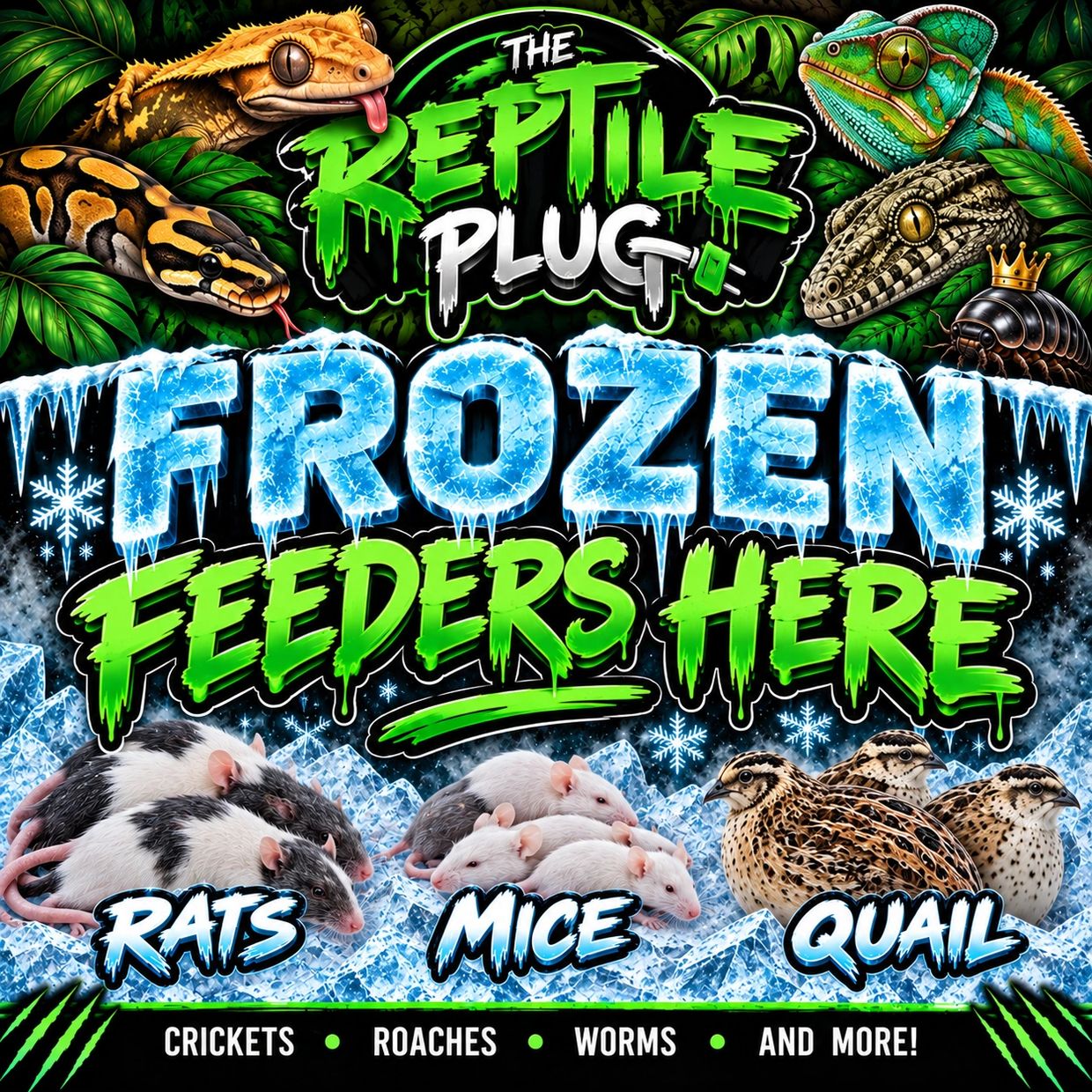 Advertisement for frozen feeders for reptiles like rats, mice, and quail.