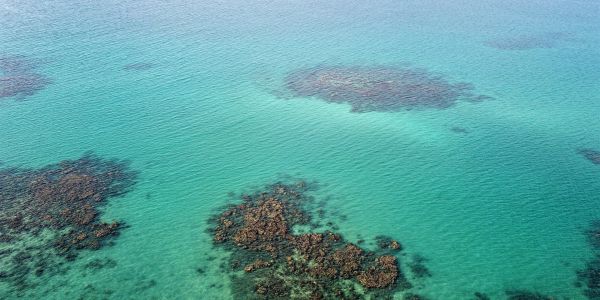 Aerial view of turquoise water with scattered coral reefs.