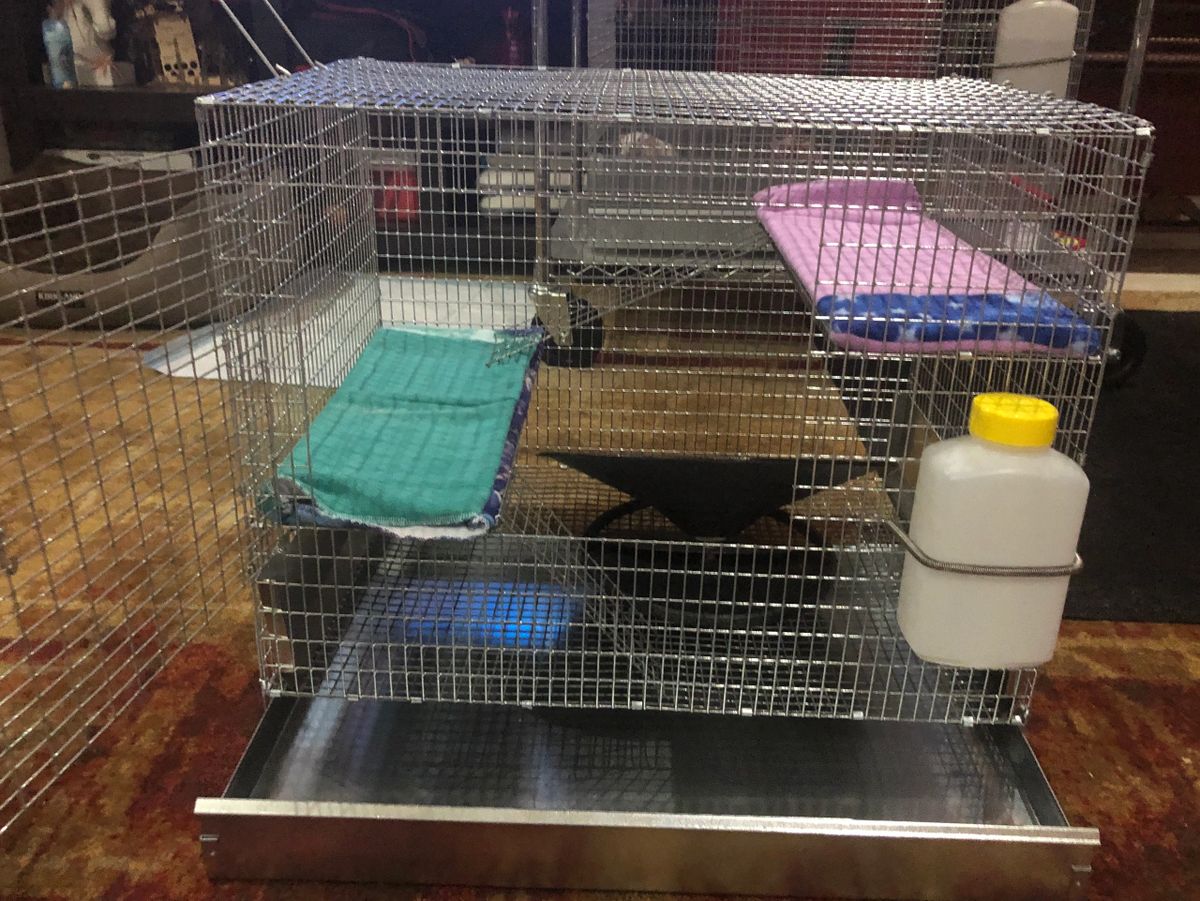 The Loft Rat Cage 24”x18”x20” with a 2 inch refuse tray with accessories