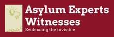 Asylum Experts Witnesses