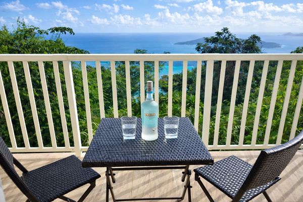 Table with two glasses and a bottle overlooking the ocean and greenery.