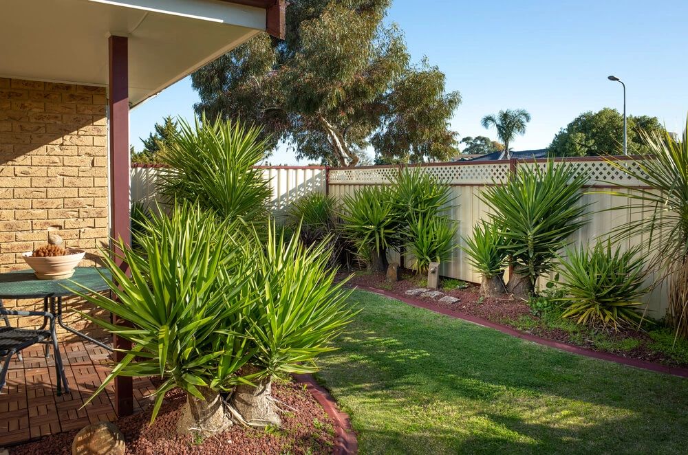 Front yard garden of Australian homes