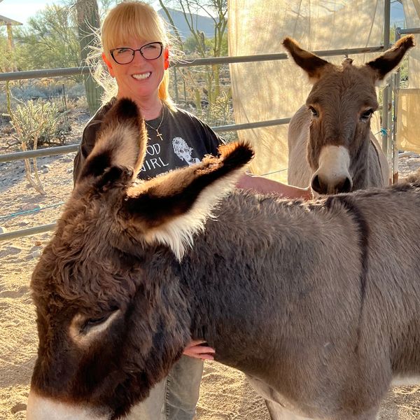 donkeys of the heart volunteer