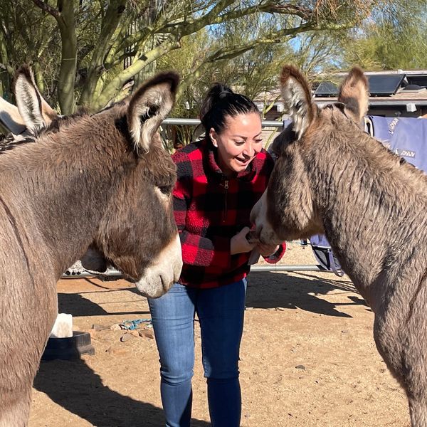 fundraising donkeys of the heart