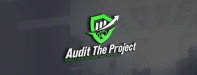 Audit The Project