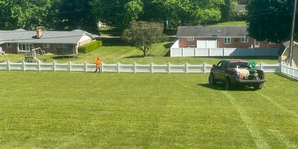 Fence Cleaning