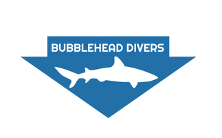 BUBBLEHEAD DIVERS