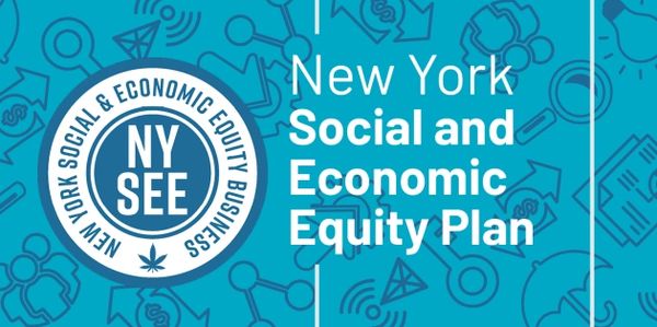 NYS, Social, Economic, Equity
