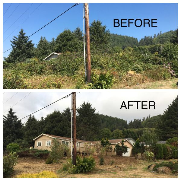 Before and after images showing a cleared lot with a house revealed.