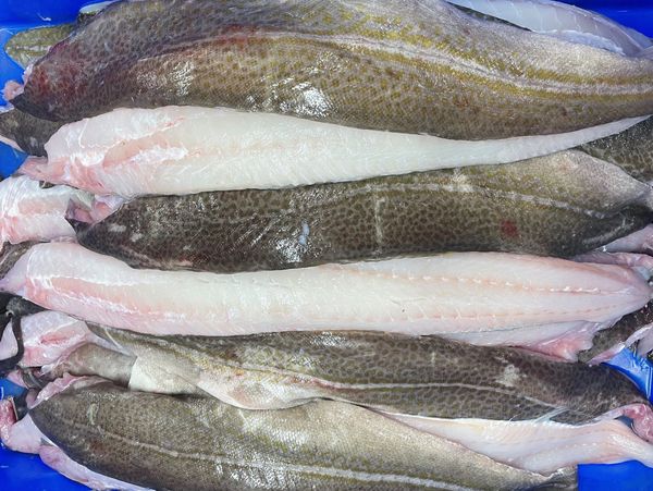 FRESH COD