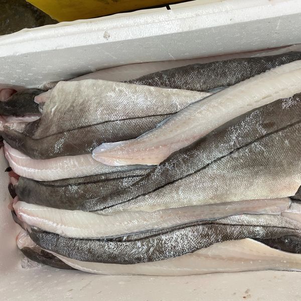 FRESH HADDOCK FILLETS