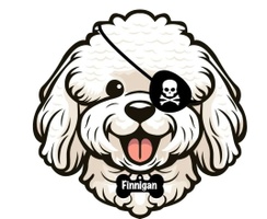 piratedog.ca