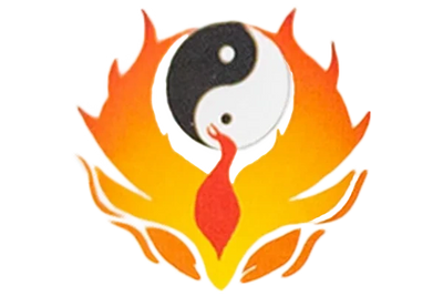 Fire flame on white background