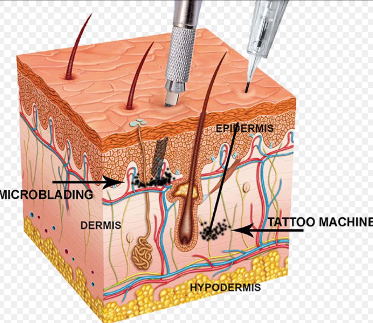 Cosmetic Tattoo Touch Of Beauty By Taj lash &brow studio