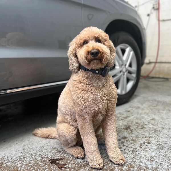 Remi Loves working everyday!