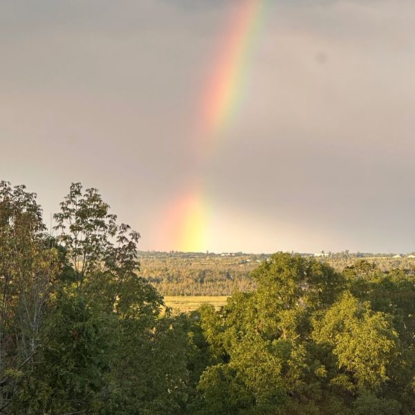 A faint rainbow over a green forest and distant landscape.