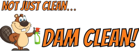 damclean