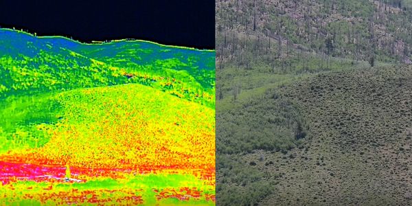 Side-by-side comparison of a thermal image and a natural photo of a hillside.