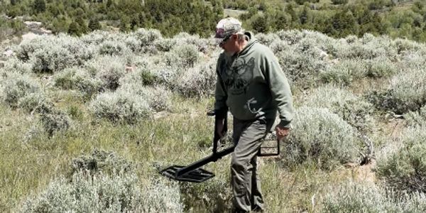 A man uses a metal detector in a grassy, shrub-filled landscape.