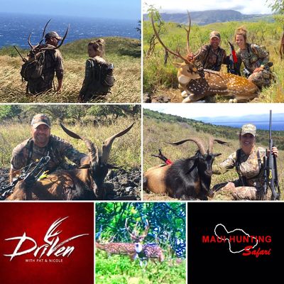 Safari Spotlight - Maui Hunting Safari LLC | Maui Hunting Safari LLC