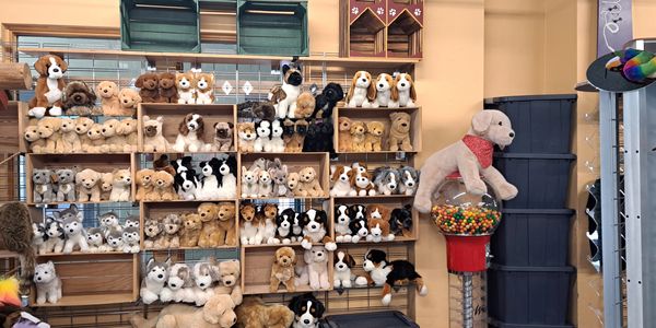 A wall of various stuffed dog toys displayed on shelves.