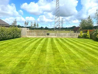 freshly mown lawn
